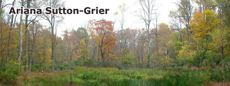 Ariana Sutton-Grier, PhD